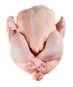 Poulet de chair
