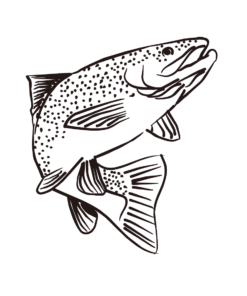 Pisciculture